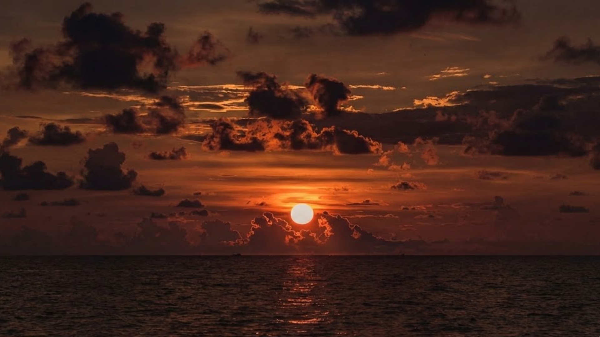 Chase of Dusk